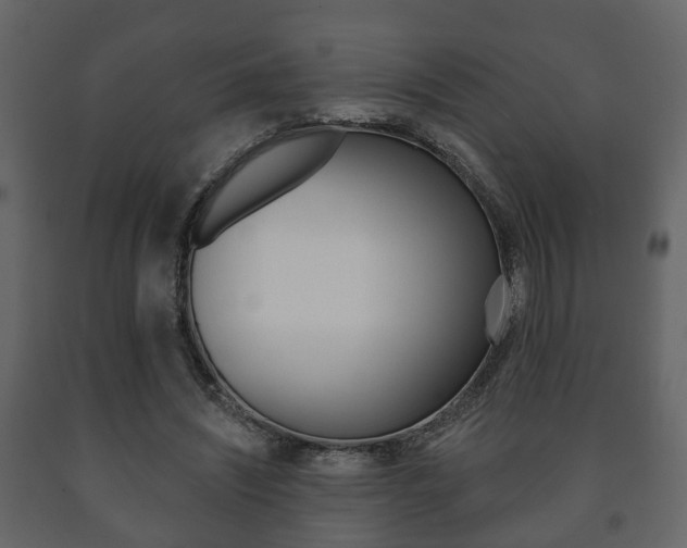 X0000091700444200708240938