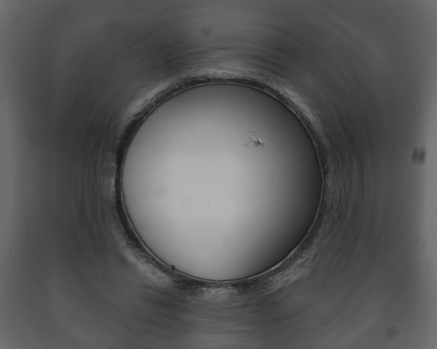 X0000091700446200708240938