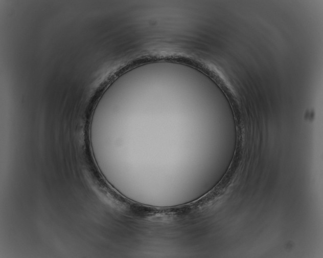 X0000091700447200708240938