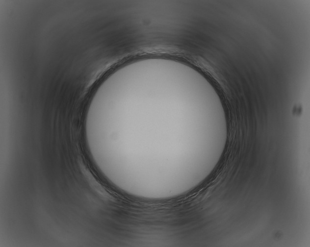 X0000091700448200708240938