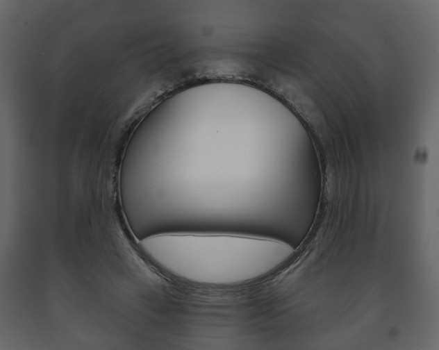 X0000091700449200708240938