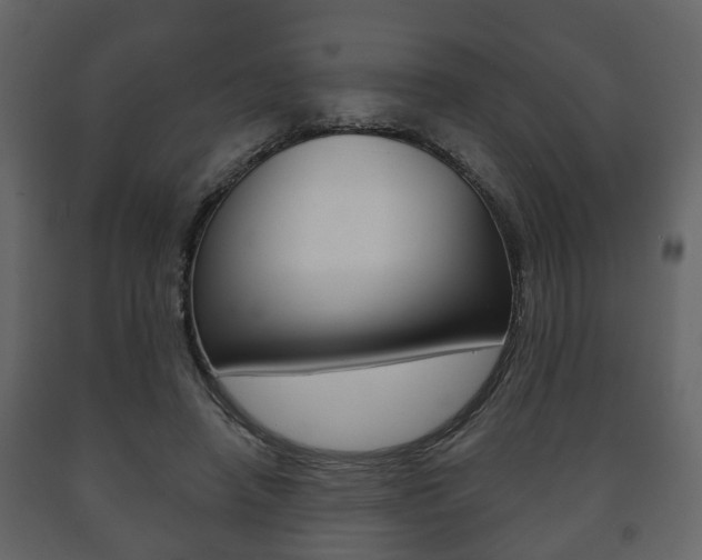 X0000091700450200708240938