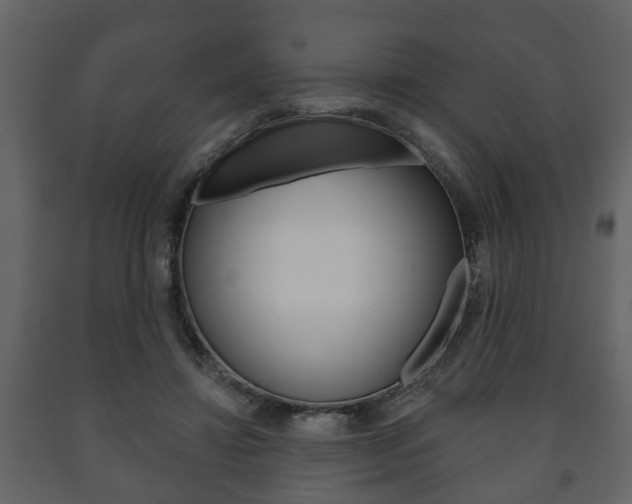 X0000091700452200708240938
