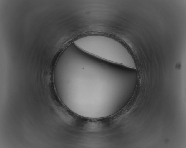 X0000091700455200708240938