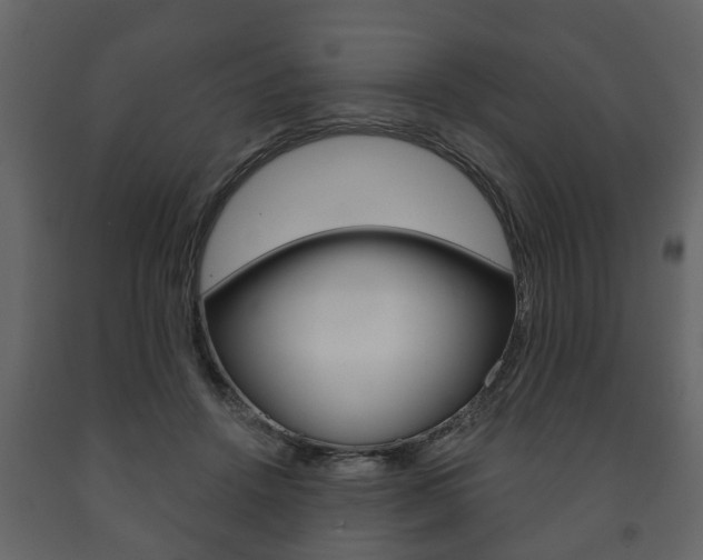 X0000091700456200708240938