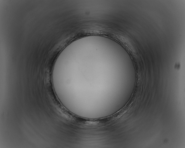 X0000091700457200708240938