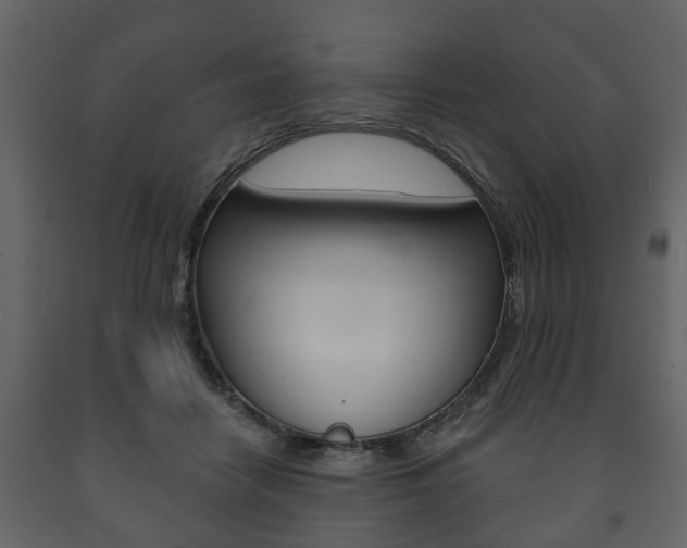 X0000091700458200708240938