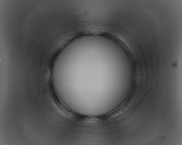 X0000091700459200708240938