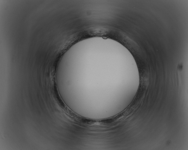 X0000091700460200708240938