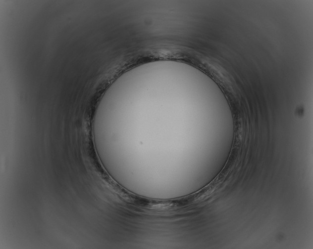 X0000091700461200708240938