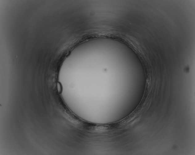 X0000091700462200708240938