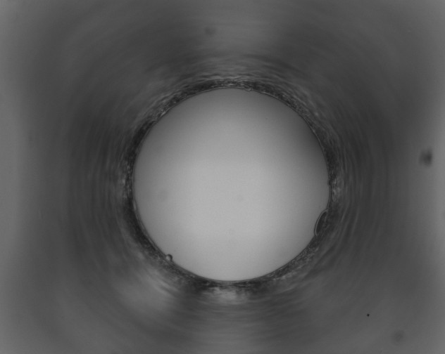 X0000091700464200708240938