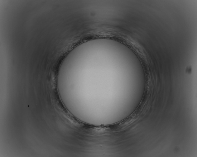 X0000091700465200708240938
