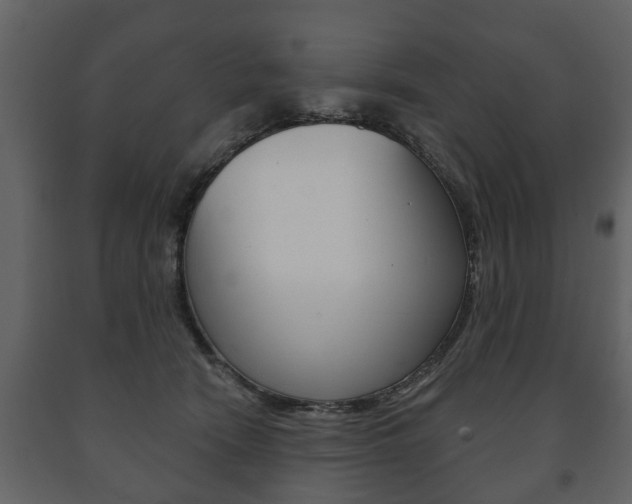 X0000091700466200708240938