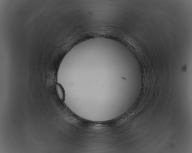 X0000091700467200708240938