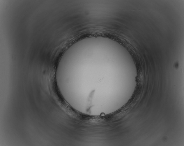 X0000091700468200708240938