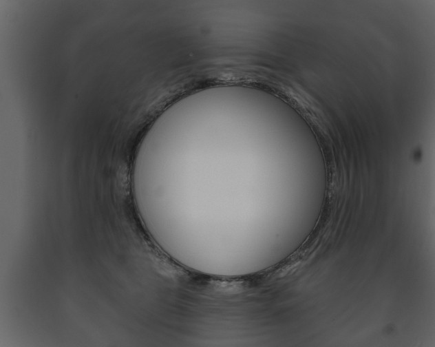 X0000091700469200708240938