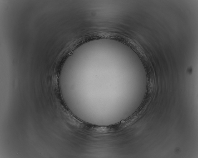 X0000091700473200708240938