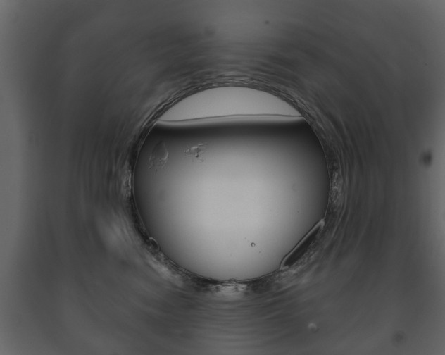 X0000091700474200708240938