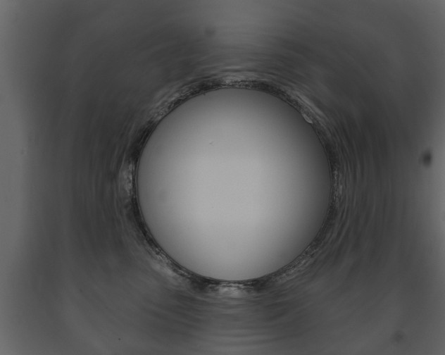 X0000091700475200708240938