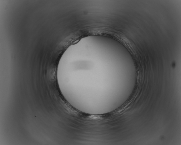 X0000091700477200708240938