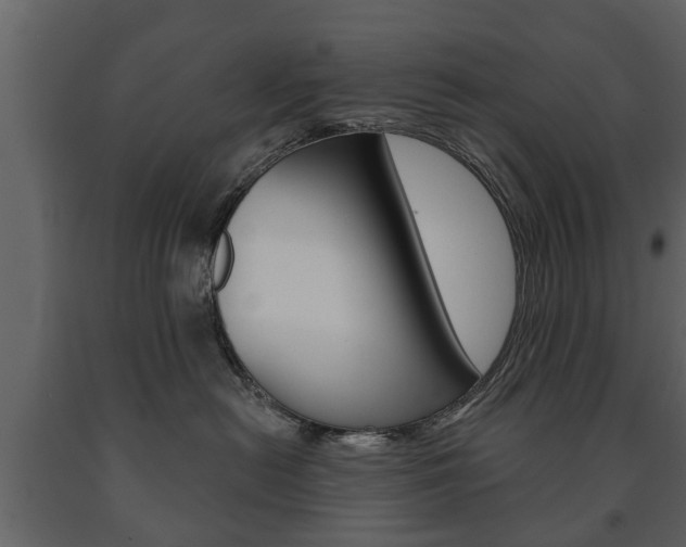 X0000091700478200708240938