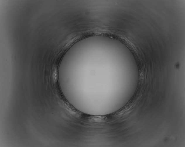 X0000091700479200708240938