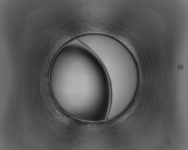 X0000091700481200708240937