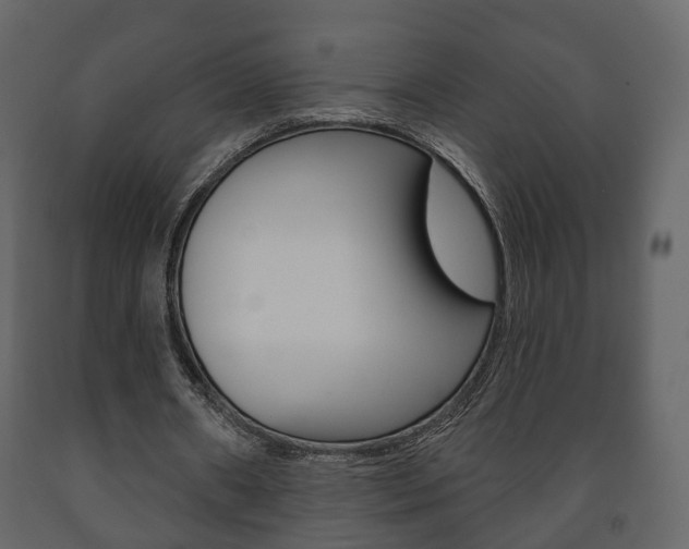 X0000091700482200708240937