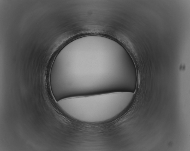 X0000091700483200708240937