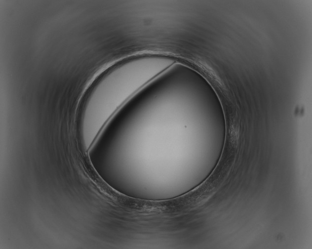 X0000091700484200708240937