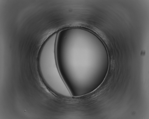 X0000091700485200708240937