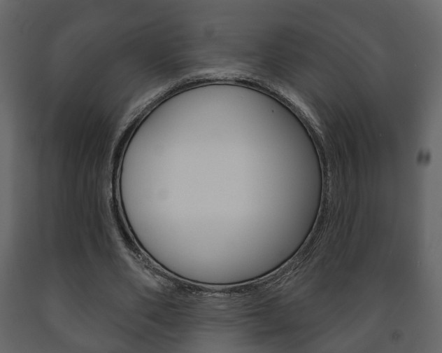 X0000091700486200708240937