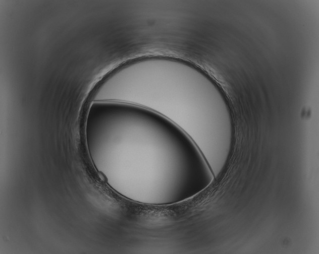X0000091700488200708240937