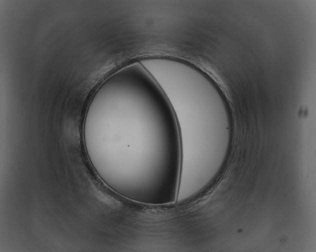 X0000091700489200708240937
