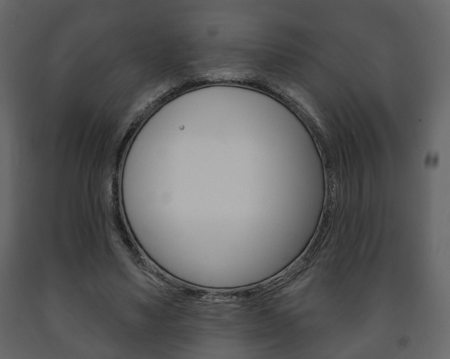 X0000091700491200708240937