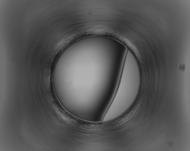X0000091700493200708240937
