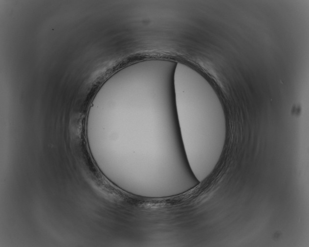 X0000091700495200708240937
