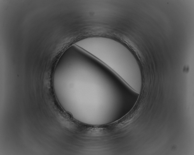 X0000091700497200708240937