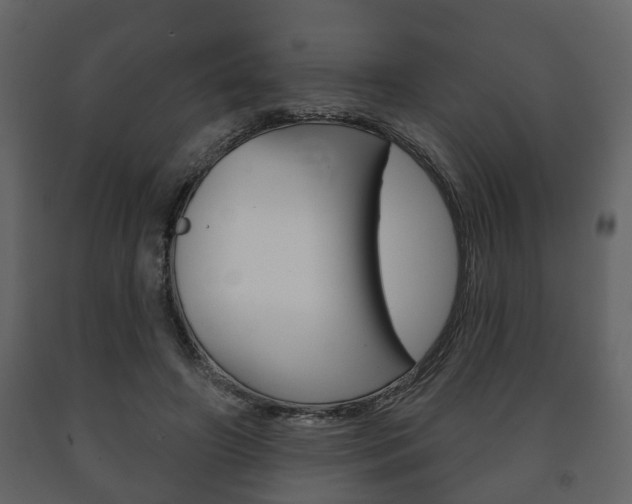 X0000091700498200708240937