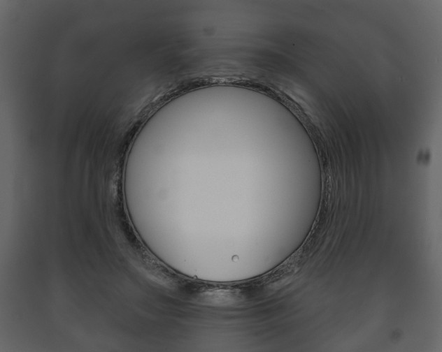 X0000091700499200708240937