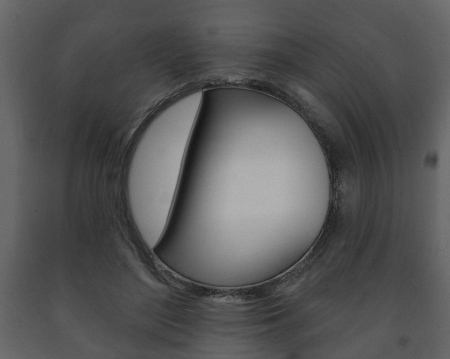 X0000091700500200708240937