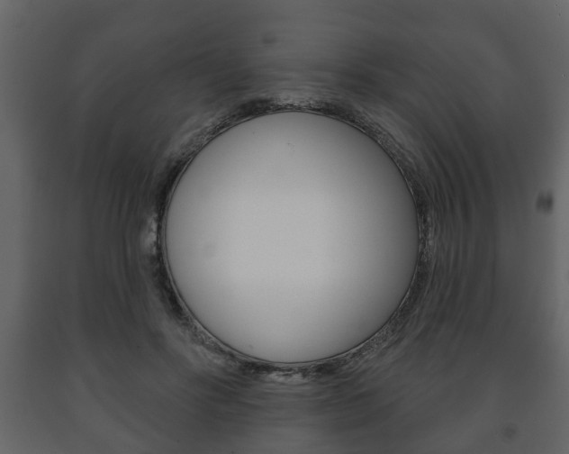 X0000091700502200708240937