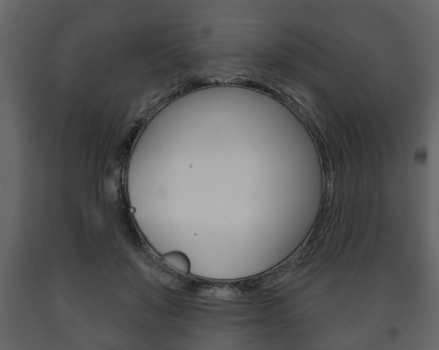 X0000091700503200708240937
