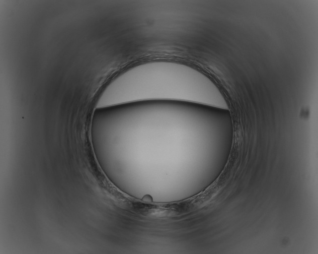 X0000091700504200708240937