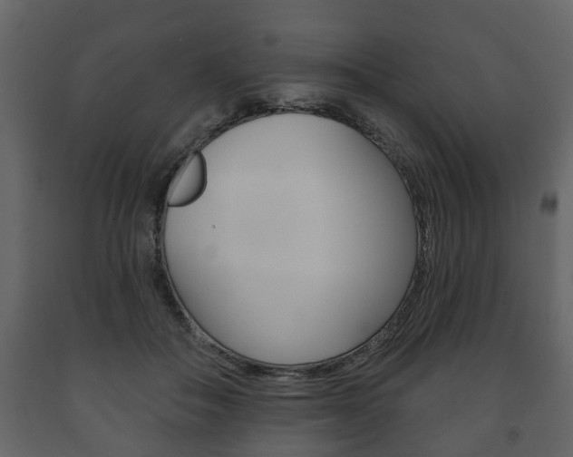 X0000091700506200708240937
