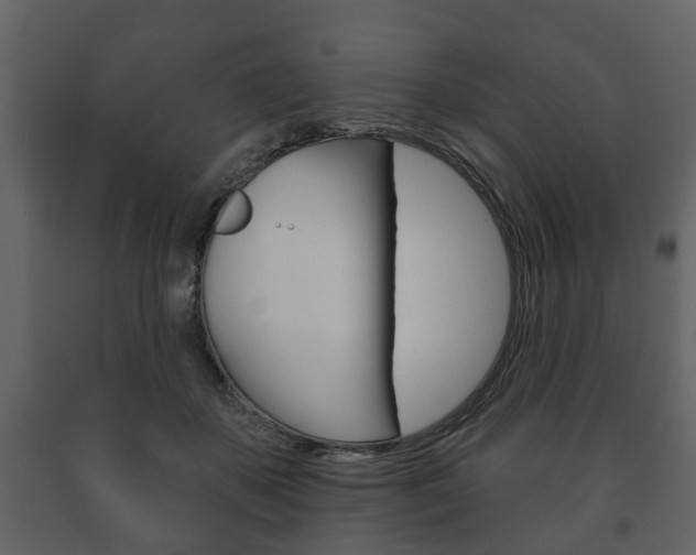 X0000091700507200708240937