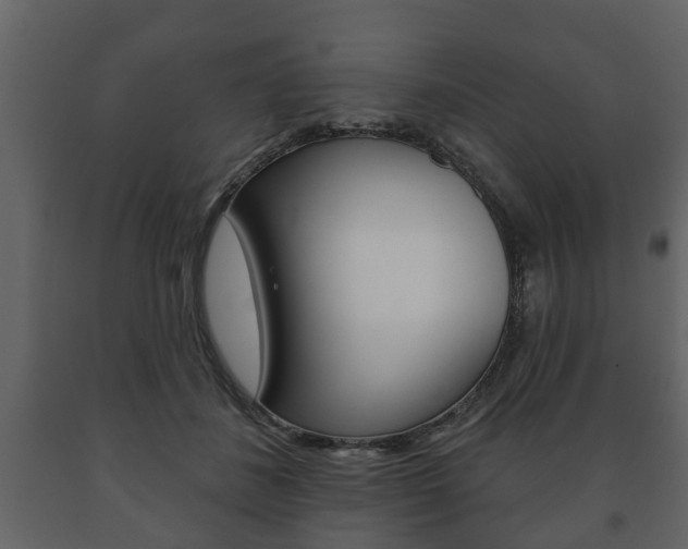 X0000091700508200708240937