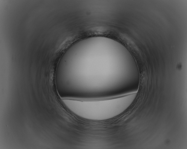 X0000091700509200708240937