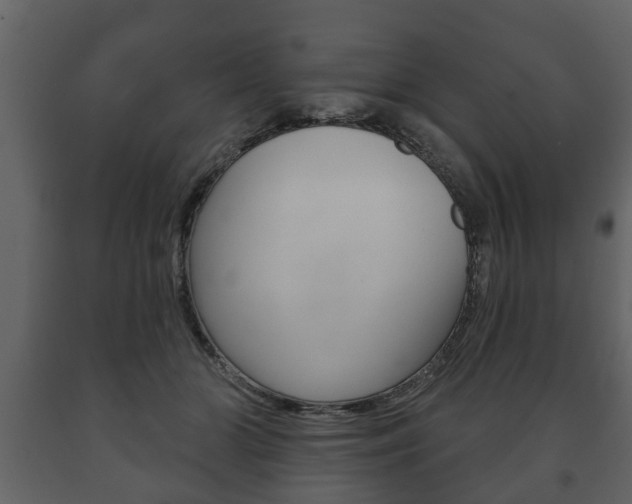 X0000091700510200708240937